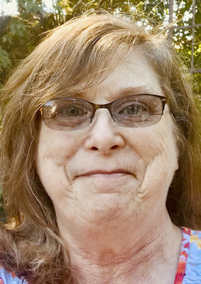 Berrien county local proposals and races